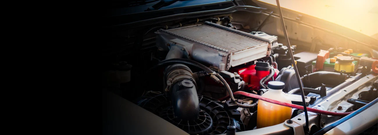 Precision Style for Professional Drivers